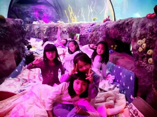 来到海洋的你花絮,幕后花絮揭秘，探寻动画巨制背后的故事