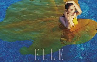 女明星潜水,探寻女明星的潜水奇遇记