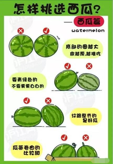 娱乐吃瓜渠道哪里找,轻松获取热门八卦资讯的秘籍