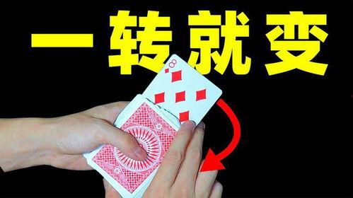 求翻牌变网红,揭秘网红养成记