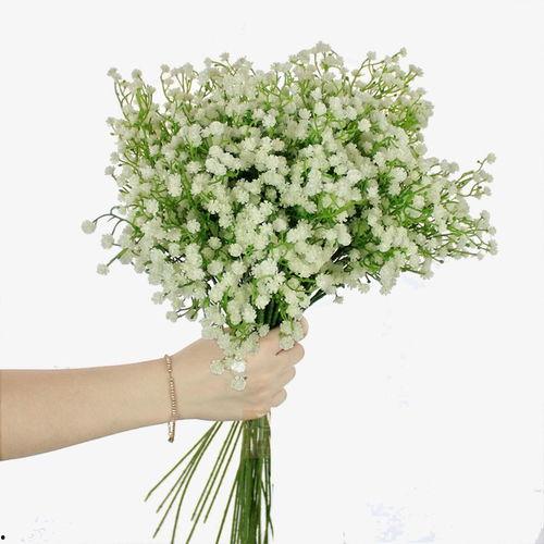 满天星的资料,满天星的自然魅力与科学解读