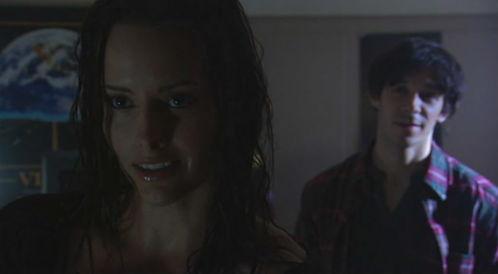 异种花絮图片,奇花异草的跨界融合之美